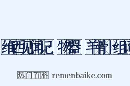 维西见闻记·物器·羊骨卜组词是什么意思的图片